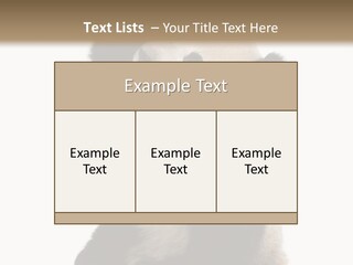 Black Cuddly Seeking PowerPoint Template
