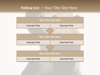 Black Cuddly Seeking PowerPoint Template