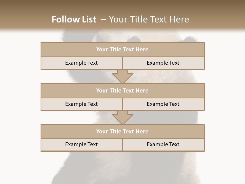 Black Cuddly Seeking PowerPoint Template