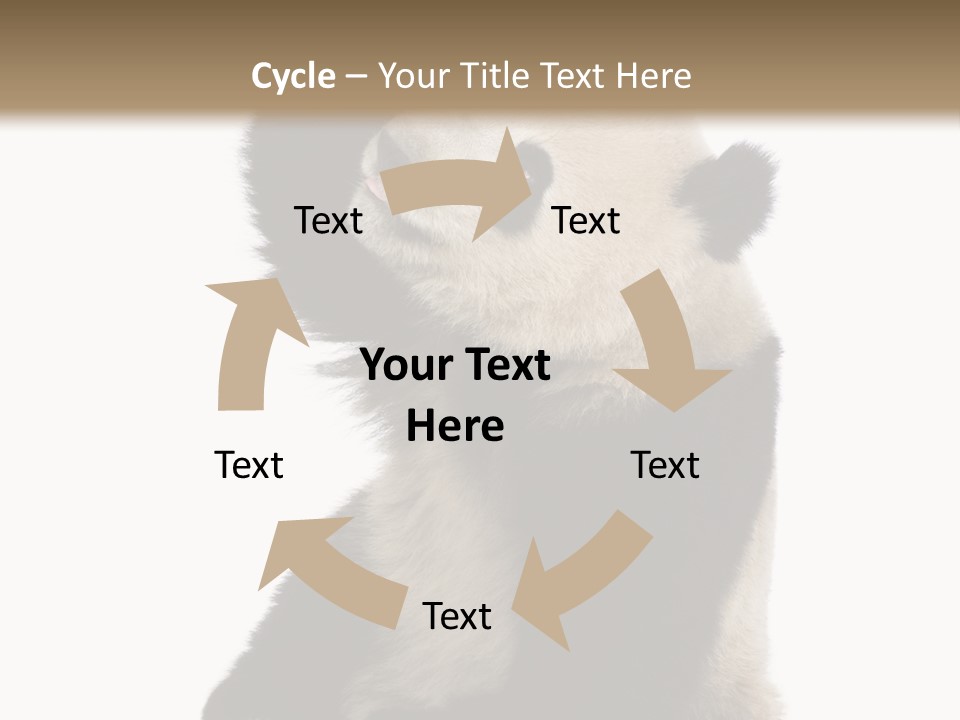 Black Cuddly Seeking PowerPoint Template