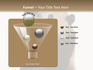 Black Cuddly Seeking PowerPoint Template