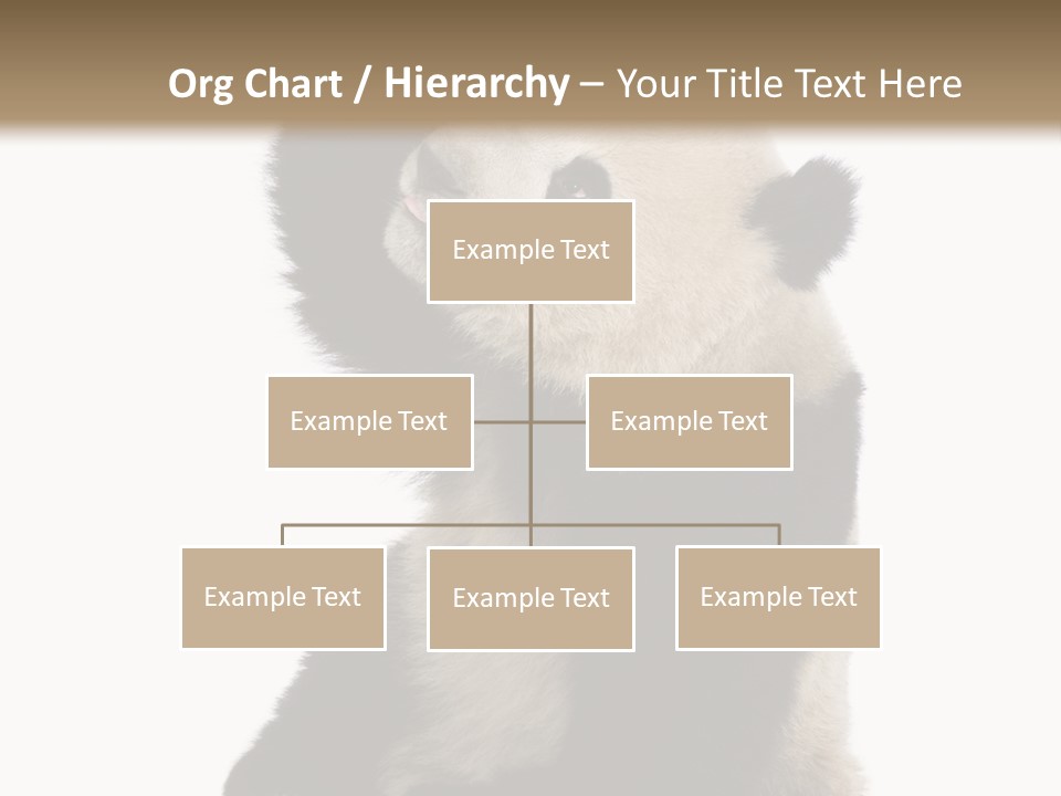 Black Cuddly Seeking PowerPoint Template