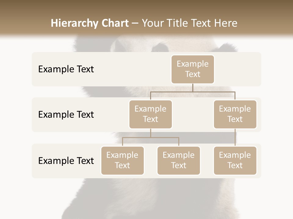 Black Cuddly Seeking PowerPoint Template