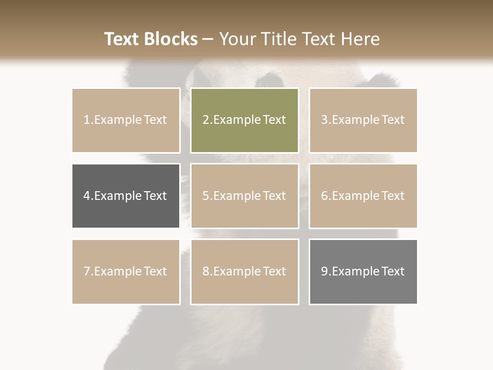 Black Cuddly Seeking PowerPoint Template