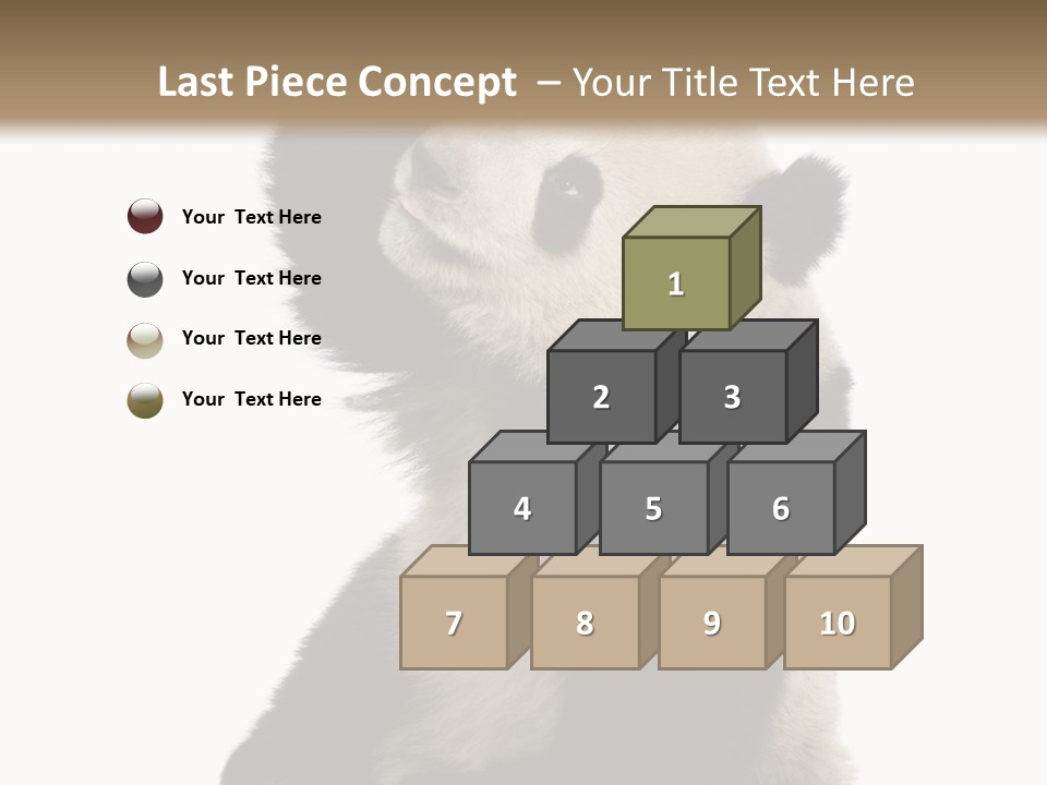 Black Cuddly Seeking PowerPoint Template
