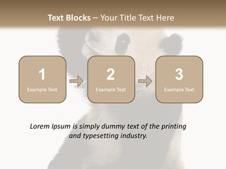 Black Cuddly Seeking PowerPoint Template