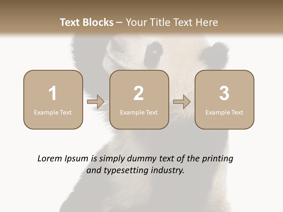 Black Cuddly Seeking PowerPoint Template