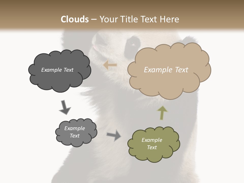 Black Cuddly Seeking PowerPoint Template