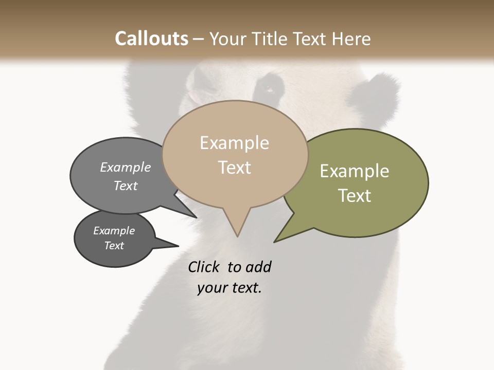 Black Cuddly Seeking PowerPoint Template