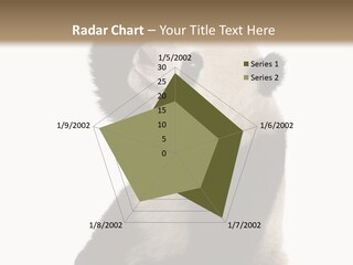 Black Cuddly Seeking PowerPoint Template