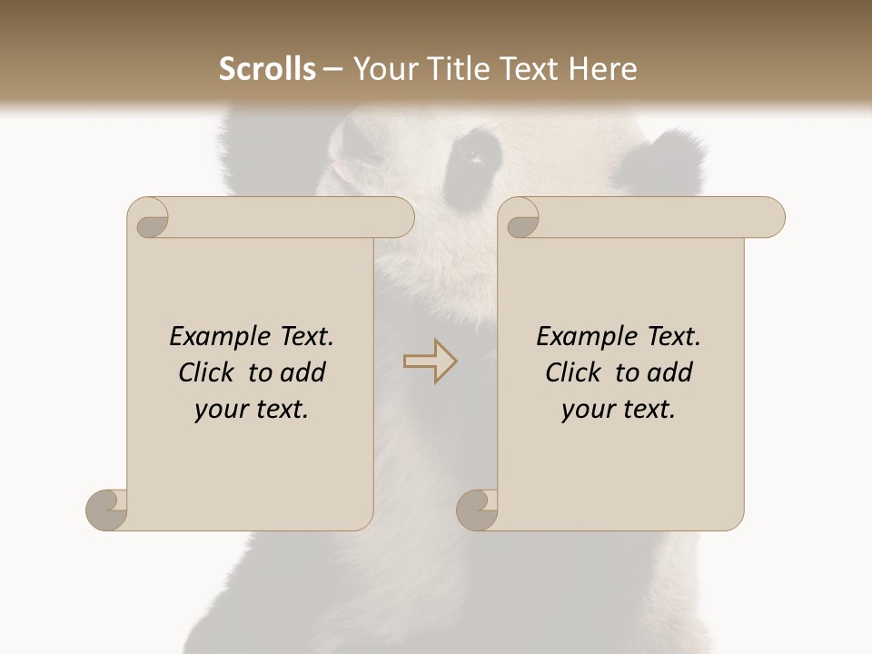 Black Cuddly Seeking PowerPoint Template