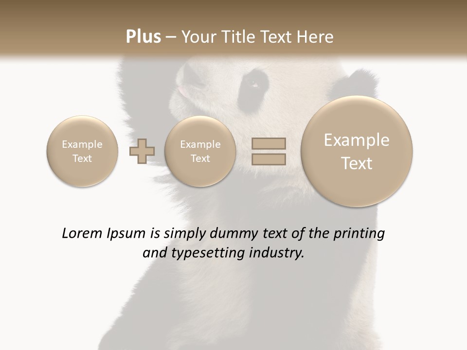 Black Cuddly Seeking PowerPoint Template
