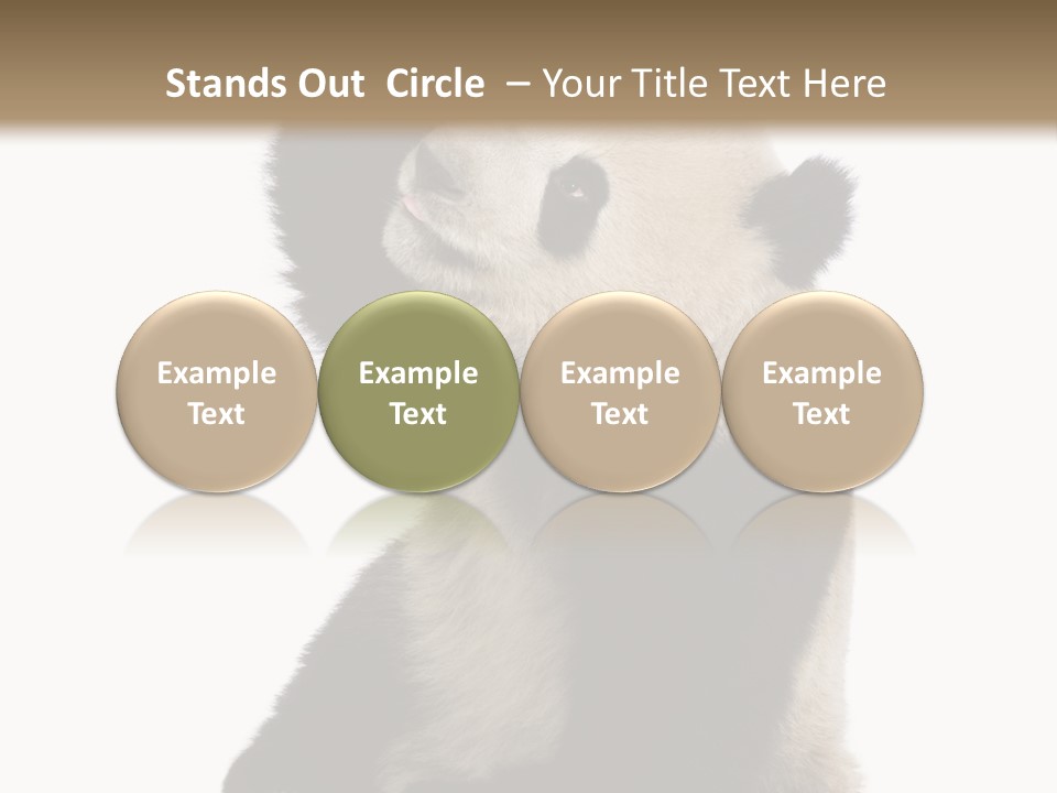 Black Cuddly Seeking PowerPoint Template