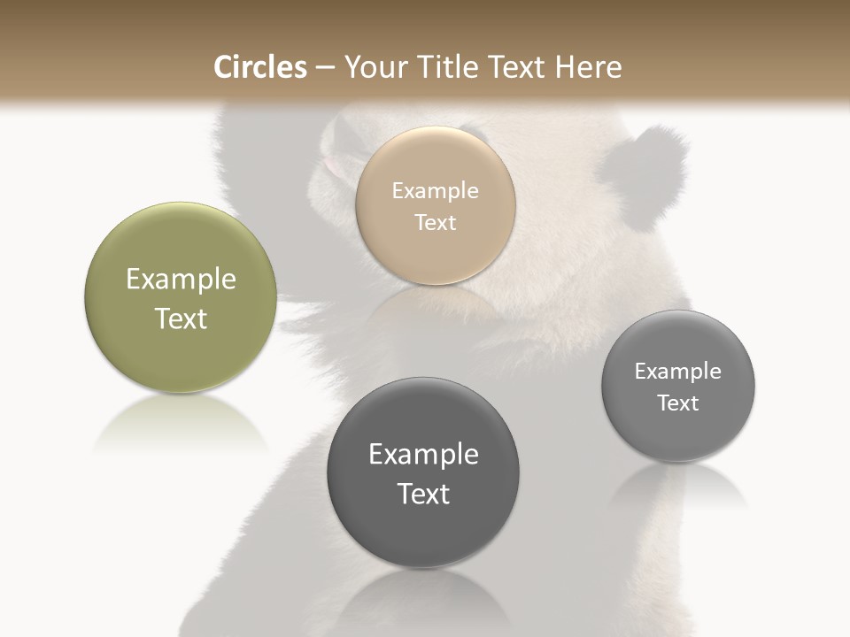 Black Cuddly Seeking PowerPoint Template