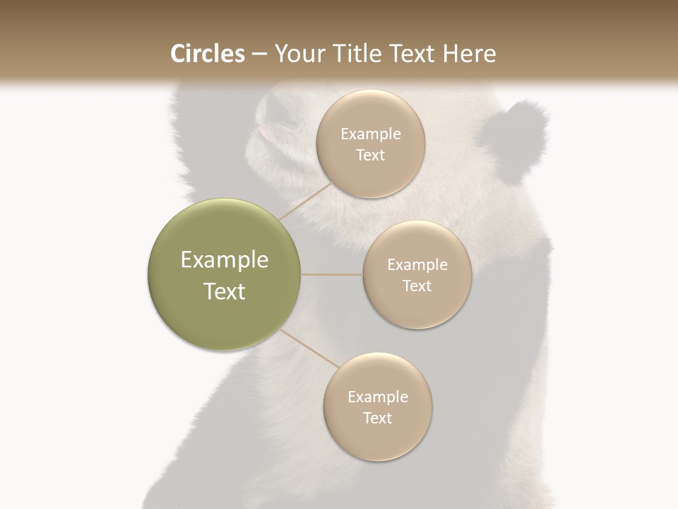 Black Cuddly Seeking PowerPoint Template
