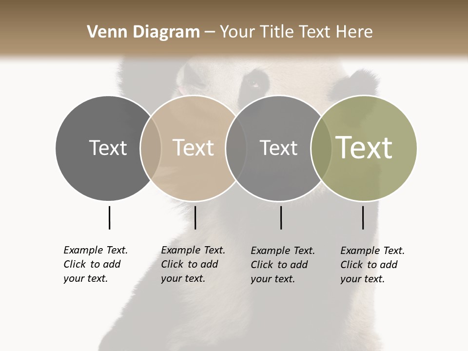 Black Cuddly Seeking PowerPoint Template