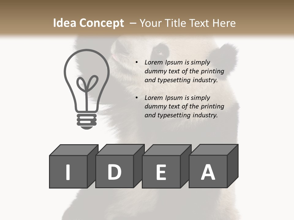 Black Cuddly Seeking PowerPoint Template