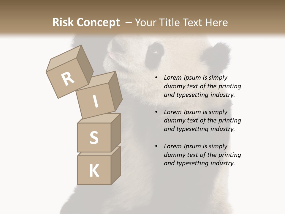 Black Cuddly Seeking PowerPoint Template