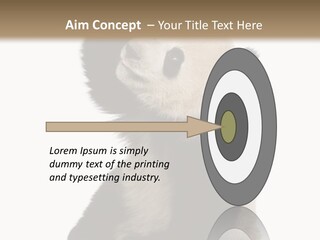 Black Cuddly Seeking PowerPoint Template