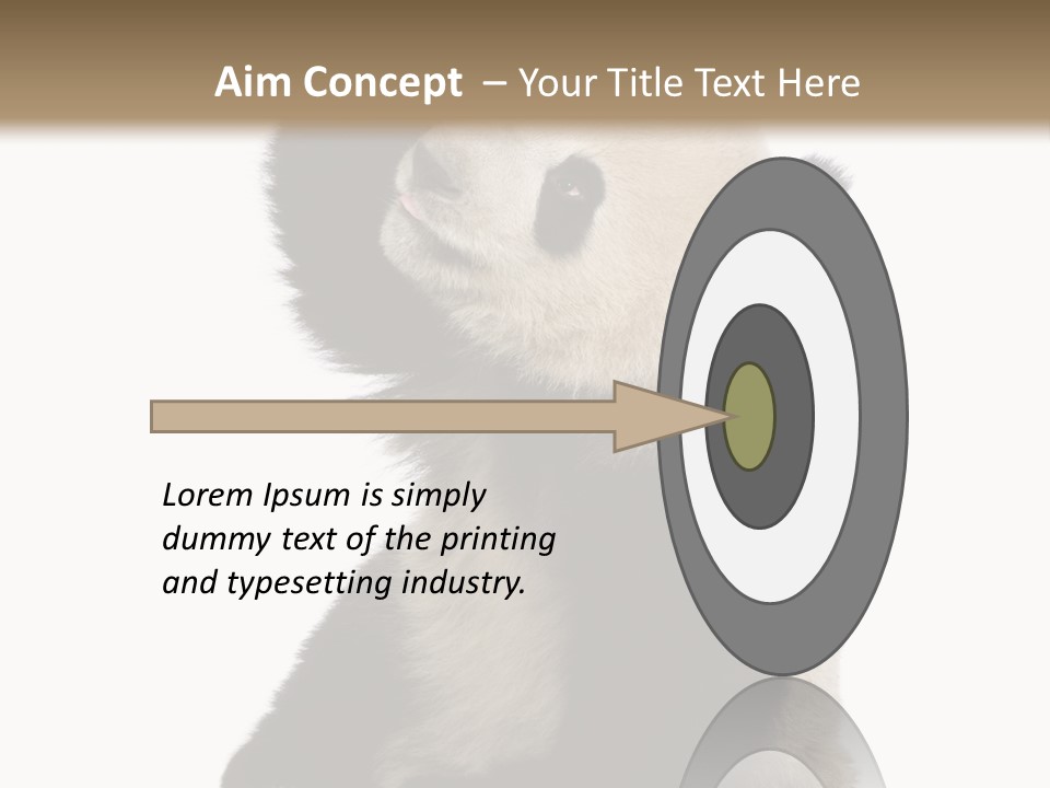 Black Cuddly Seeking PowerPoint Template
