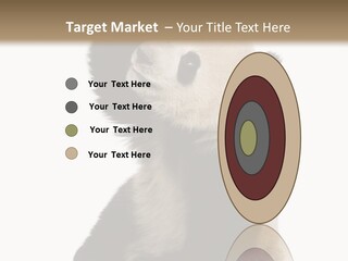 Black Cuddly Seeking PowerPoint Template