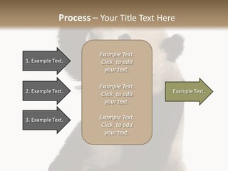 Black Cuddly Seeking PowerPoint Template