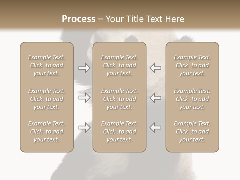Black Cuddly Seeking PowerPoint Template