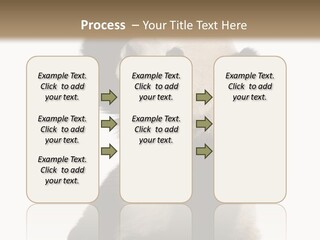 Black Cuddly Seeking PowerPoint Template