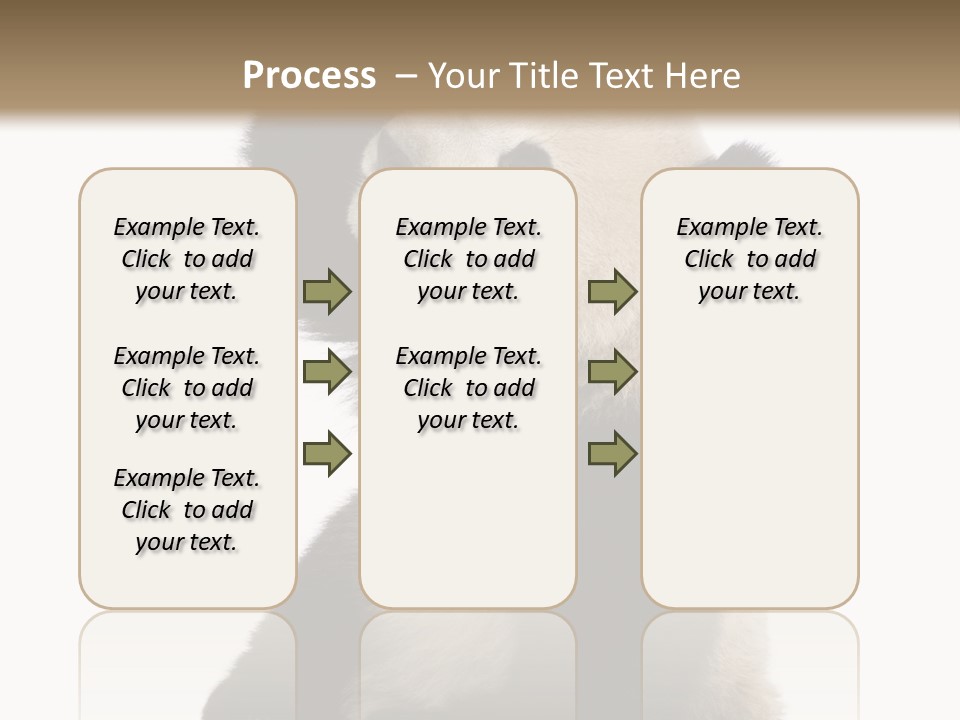 Black Cuddly Seeking PowerPoint Template