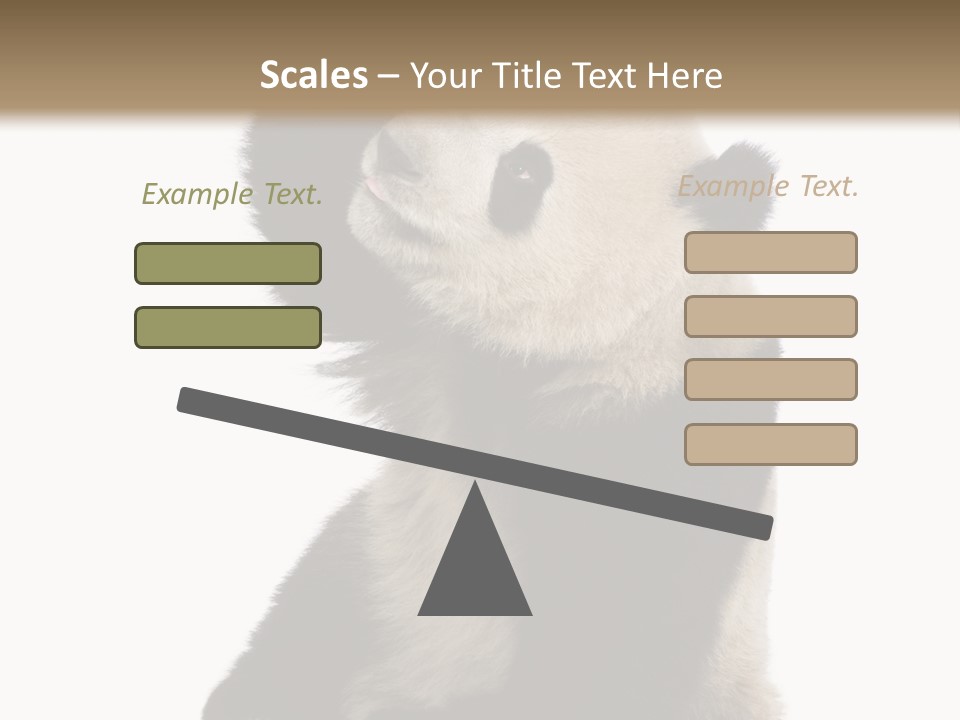 Black Cuddly Seeking PowerPoint Template