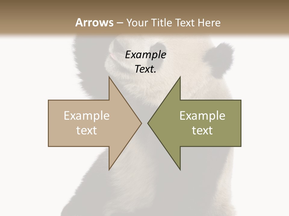 Black Cuddly Seeking PowerPoint Template