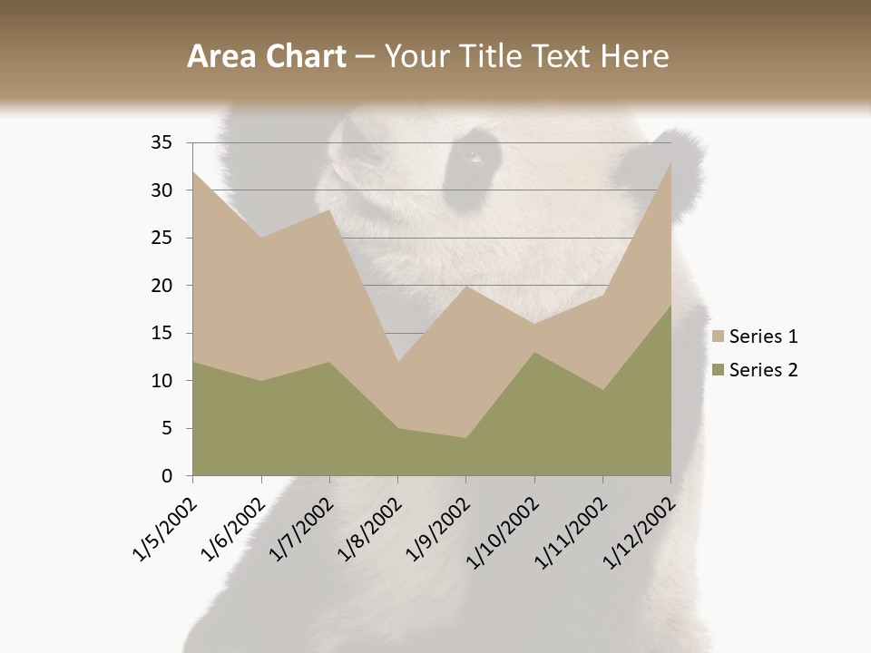 Black Cuddly Seeking PowerPoint Template