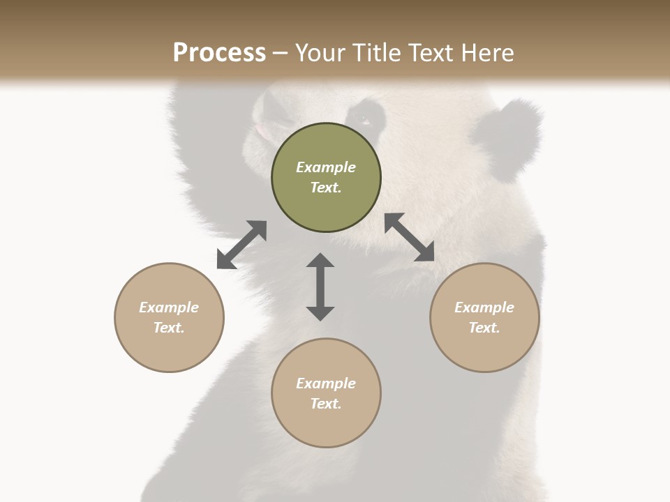 Black Cuddly Seeking PowerPoint Template