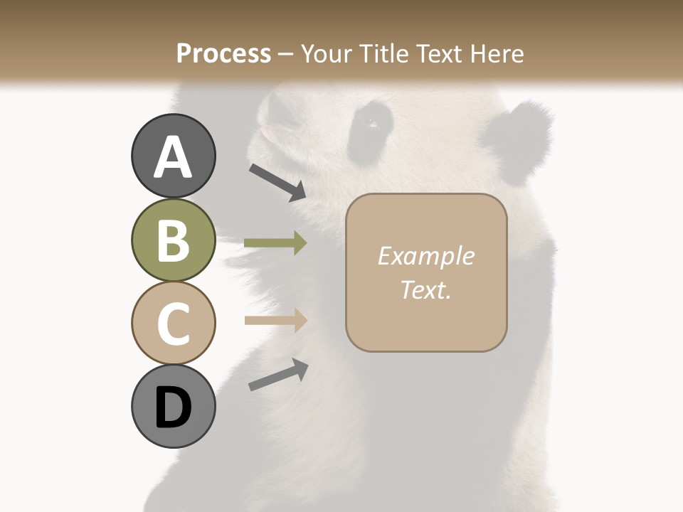 Black Cuddly Seeking PowerPoint Template