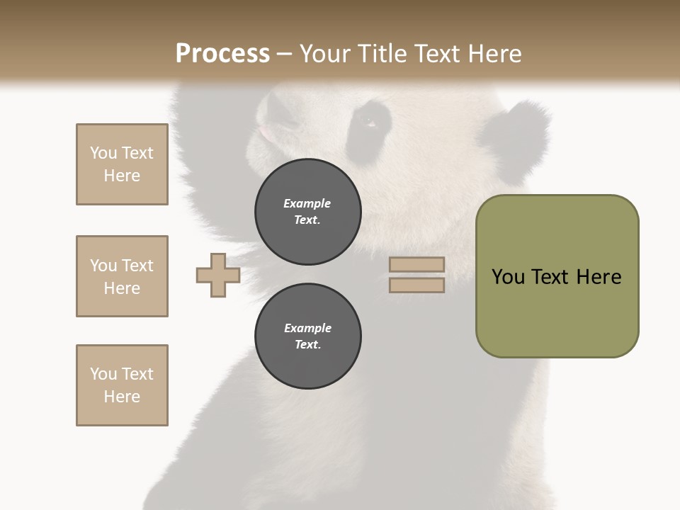Black Cuddly Seeking PowerPoint Template