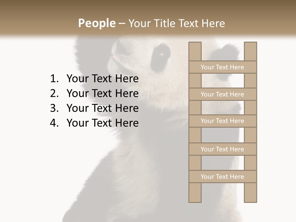 Black Cuddly Seeking PowerPoint Template