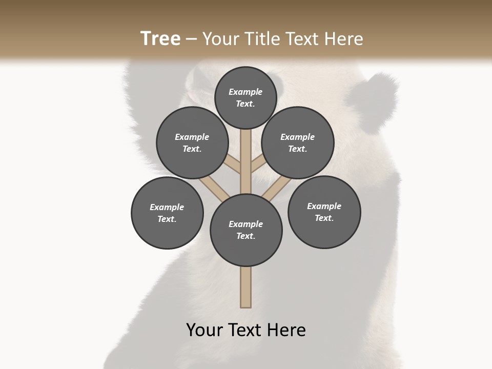 Black Cuddly Seeking PowerPoint Template