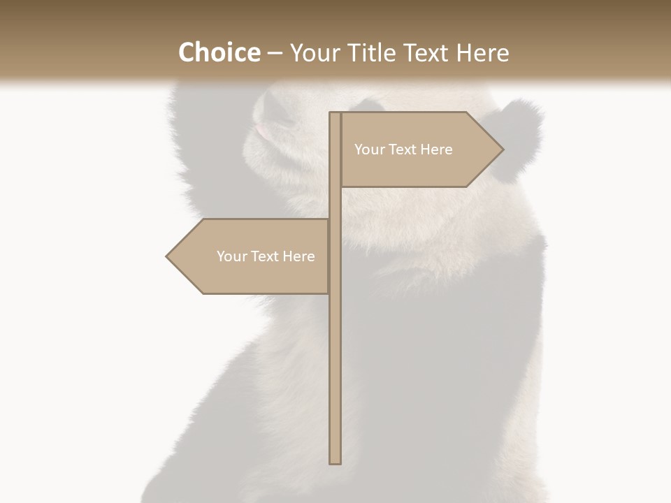 Black Cuddly Seeking PowerPoint Template