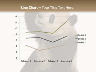 Black Cuddly Seeking PowerPoint Template
