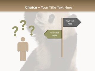 Black Cuddly Seeking PowerPoint Template