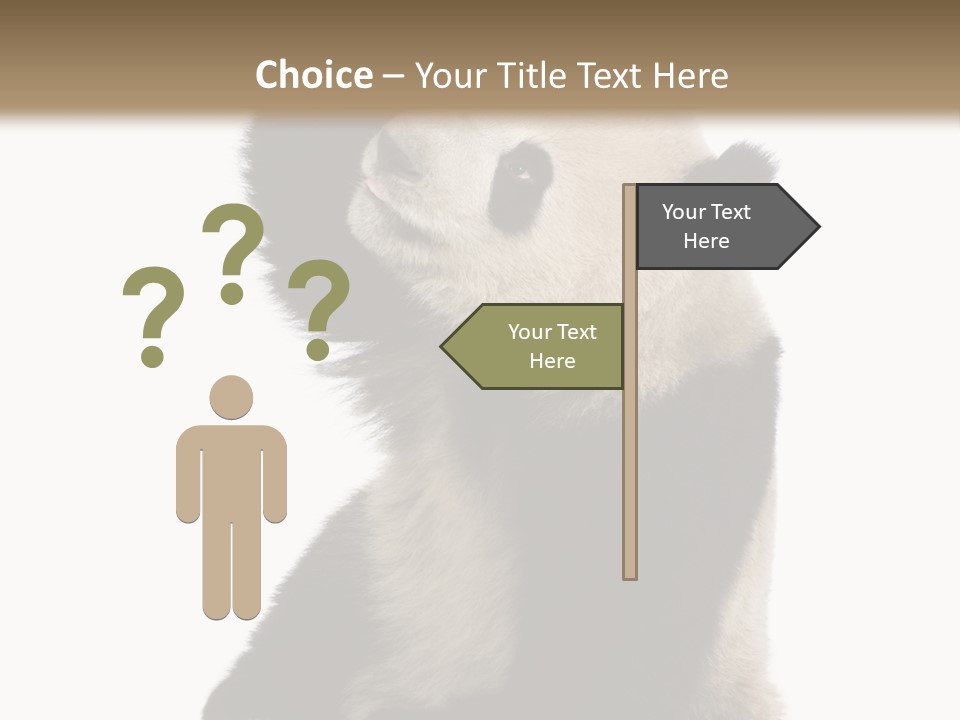 Black Cuddly Seeking PowerPoint Template