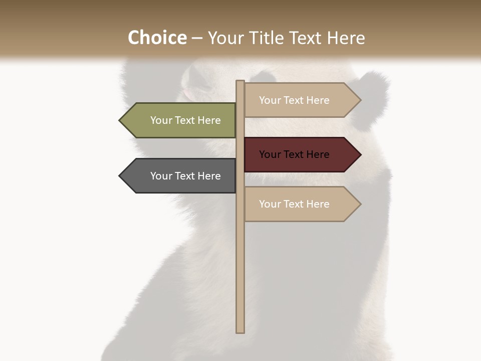Black Cuddly Seeking PowerPoint Template