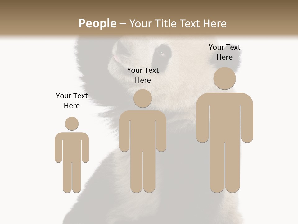 Black Cuddly Seeking PowerPoint Template