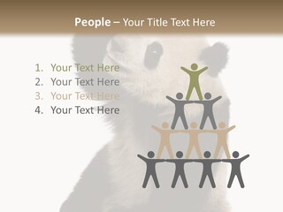 Black Cuddly Seeking PowerPoint Template