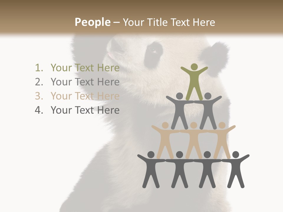Black Cuddly Seeking PowerPoint Template