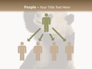 Black Cuddly Seeking PowerPoint Template