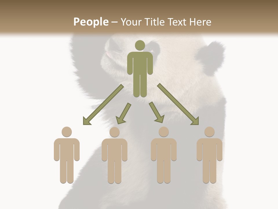 Black Cuddly Seeking PowerPoint Template