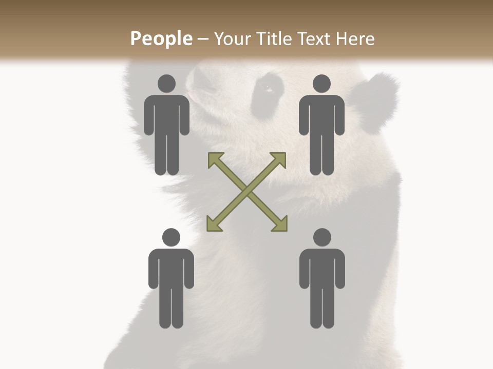Black Cuddly Seeking PowerPoint Template