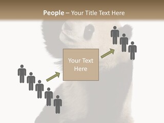 Black Cuddly Seeking PowerPoint Template