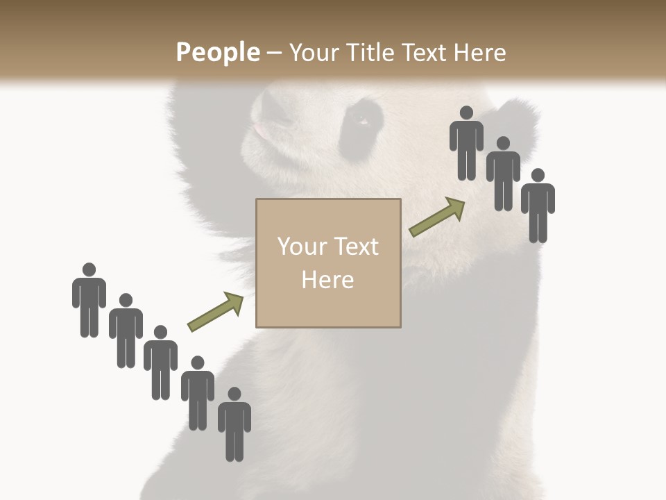 Black Cuddly Seeking PowerPoint Template